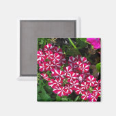 zomertuin magneet (Voorkant / Achterkant)