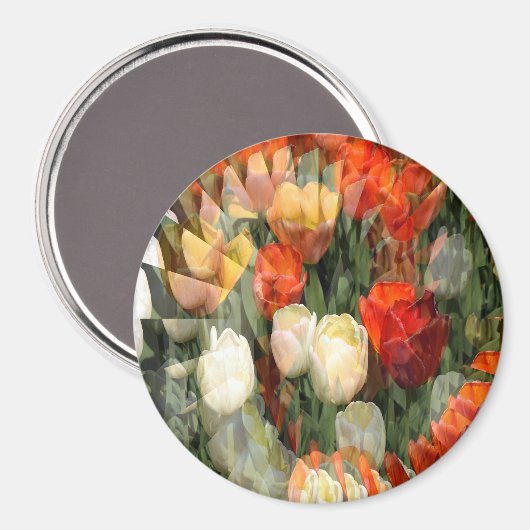 Zomertuin........ Magneet (Voorkant / Achterkant)