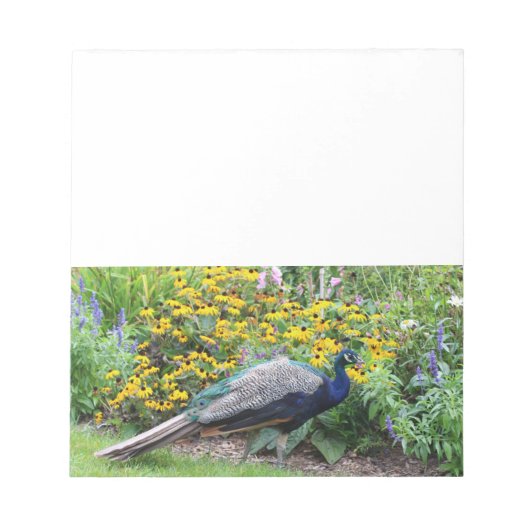 Zomertuin met Peacock notitieblok (Voorkant)