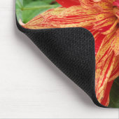 zomertuin muismat (Hoek)