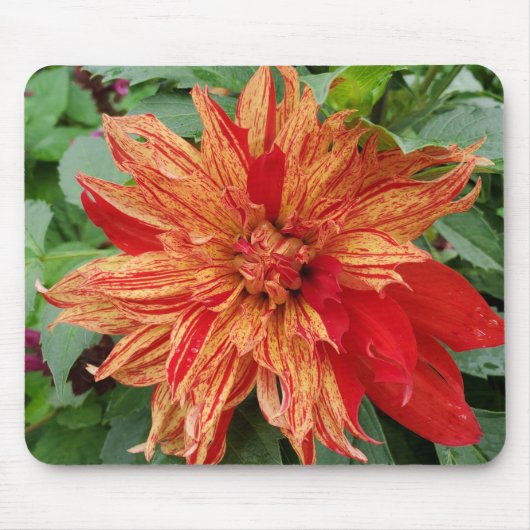 zomertuin muismat (Voorkant)