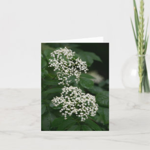 zomertuinbloemen bedankkaart