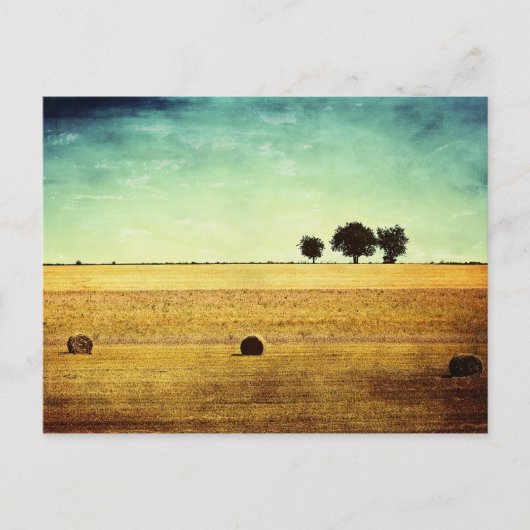 zomeruur briefkaart (Voorkant)