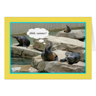 Zomervakantie! Tijd voor chillaxine'