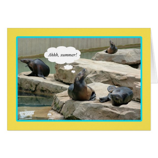 Zomervakantie! Tijd voor chillaxine' (Voorkant Horizontaal)