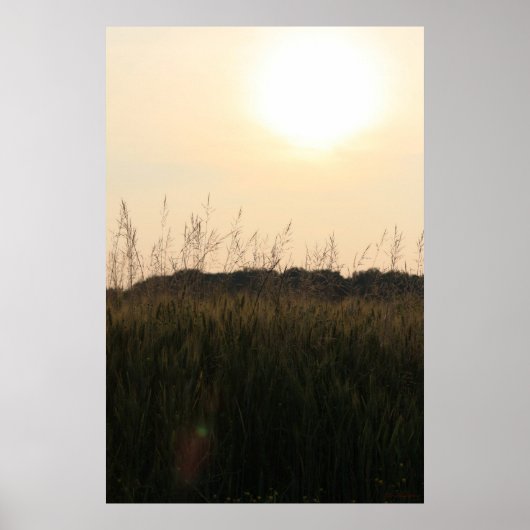 zomerveld poster (Voorkant)