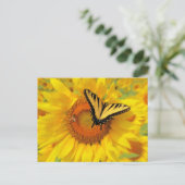 zomervleugels, briefkaarten (Staand voorkant)