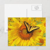 zomervleugels, briefkaarten (Voorkant / Achterkant)