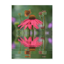 Zomervlinder Reflecties