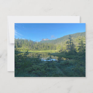 Zomerwandeling door het Lush Green Forest Briefkaa Briefkaart