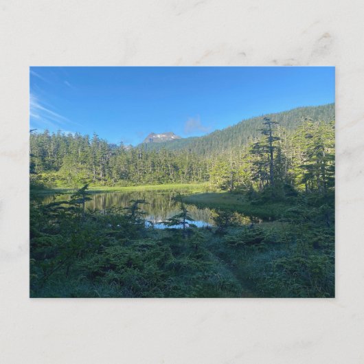 Zomerwandeling door het Lush Green Forest Briefkaa Briefkaart (Voorkant)