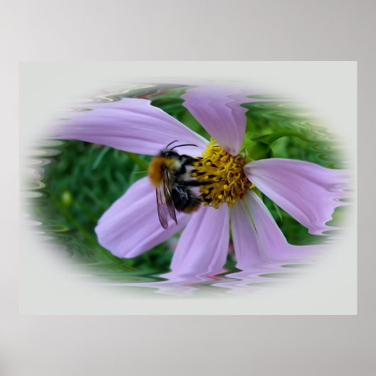 zomerwarmte poster (Voorkant)