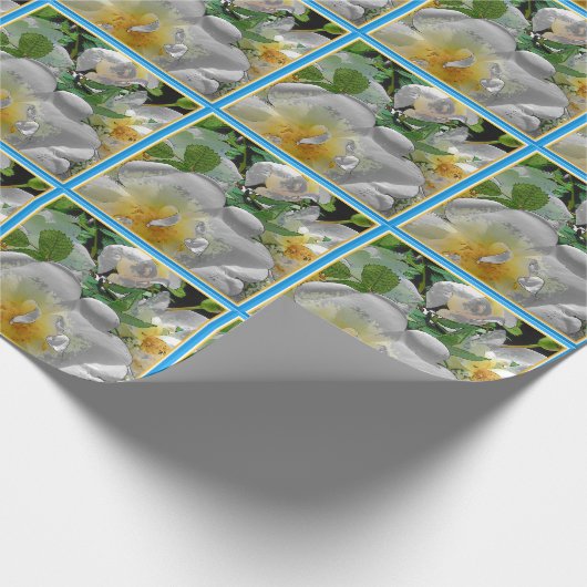 Zomerweddenschap Cadeaupapier (Hoek)