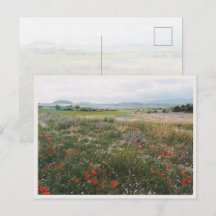 Zomerweide, droomachtig Cottagecore-landschap