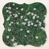 Zomerweide Klein Wit & Lichtroze Wildbloemen Kartonnen Onderzetters (Voorkant)