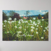zomerweide met andelions poster (Voorkant)