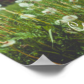 Zomerweide met paardenbloemen poster (Hoek)
