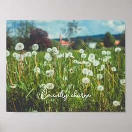 Zomerweide met paardenbloemen poster