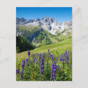 Zomerweiden met kloosterbos op de voorgrond, de briefkaart