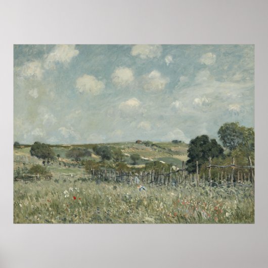 Zomerweidolie  poster (Voorkant)