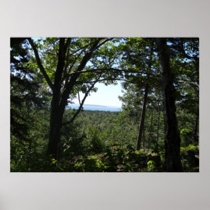 Zomerzicht in Acadia National Park Poster