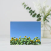 Zomerzonnebloemen Briefkaart (Staand voorkant)