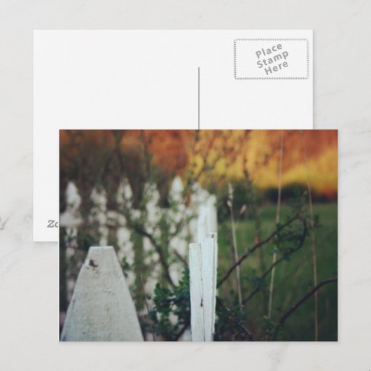 zomerzonsondergang briefkaart (Voorkant / Achterkant)