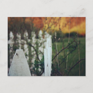 zomerzonsondergang briefkaart