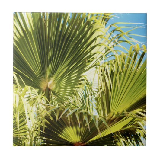 Zomfbomen — Bleek groen Tegeltje (Voorkant)