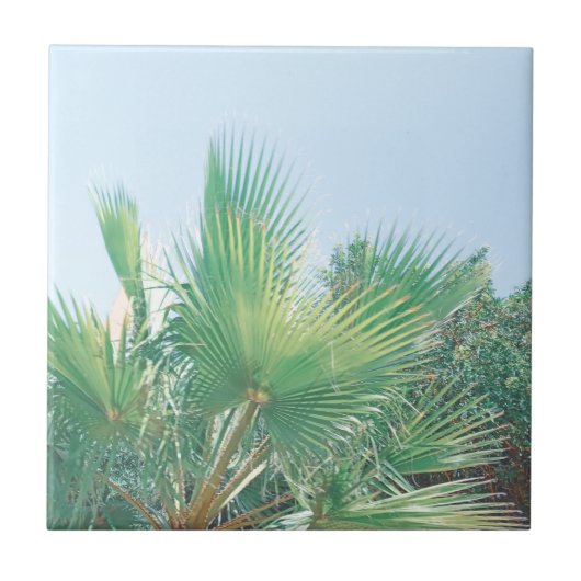 Zomfbomen — Bleek groen Tegeltje (Voorkant)