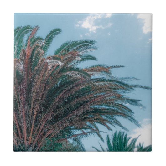 Zomfbomen — Bleek groen Tegeltje (Voorkant)