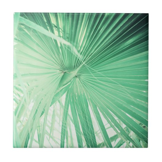 Zomfbomen — Bleek groen Tegeltje (Voorkant)