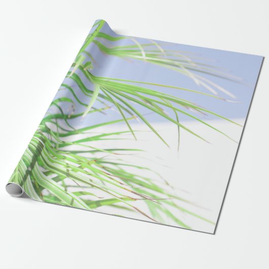 Zomfpalmboom laat Bleek groen deegsel over Cadeaupapier (Uitgerold)