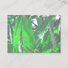 Zomfpalmboom laat Bleek groen deegsel over Visitekaartje