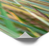 Zomftarweveld met kornbloemen poster (Hoek)