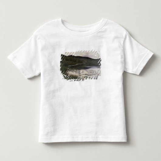 Zomnacht 1886 kinder shirts (Voorkant)