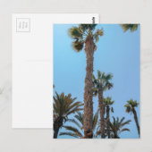 Zompalmen Briefkaart (Voorkant / Achterkant)