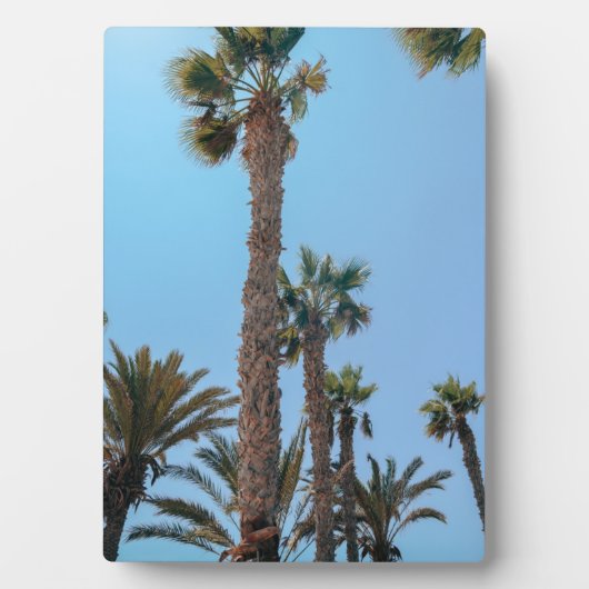 Zompalmen Fotoplaat (voorkant)