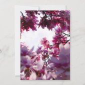 Zomroze rozen bloemfoto Weddenschap Kaart (Achterkant)