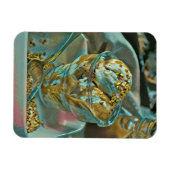 Zomzeekomp Magneet (Horizontaal)