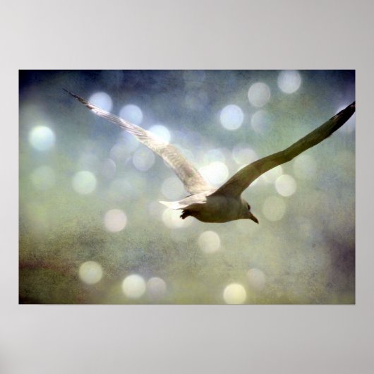 Zon 3 poster (Voorkant)