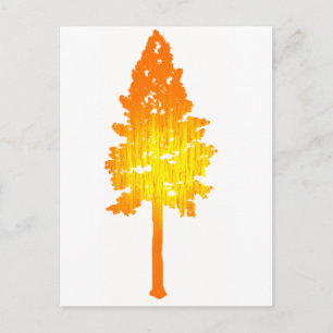 Zon aanraken briefkaart