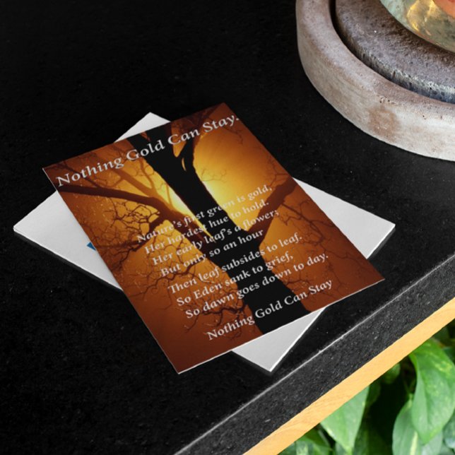 Zon achter (Creator heeft geüpload)