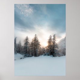 Zon achter spruce-bomen poster