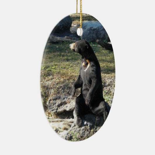 Zon Beer in de dierentuin Keramisch Ornament (Rechts)