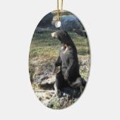 Zon Beer in de dierentuin Keramisch Ornament (Links)