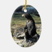 Zon Beer in de dierentuin Keramisch Ornament (Voorkant)