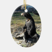 Zon Beer in de dierentuin Keramisch Ornament (Achterkant)