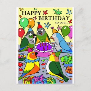 zon conure gcc monnik papegaai caique senegal pape briefkaart