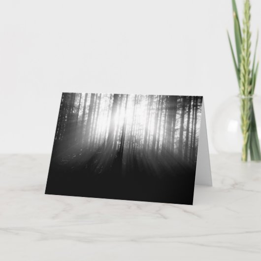 Zon die door Bomen in het Bos glanzen Kaart (Voorkant)